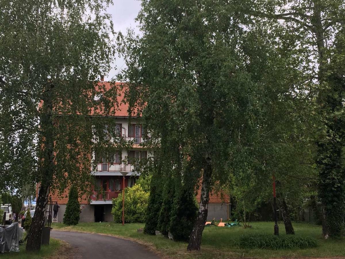 Balatoni Retro Villa Balatonfenyves Luaran gambar